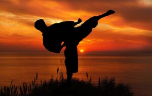 sunset, sport, karate, competition, coaching, silhouette, people, the activity, young, nature, ocean, karate, karate, karate, karate, karate